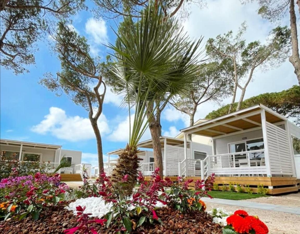 Anxur Village Camping Terracina Exteriér fotografie